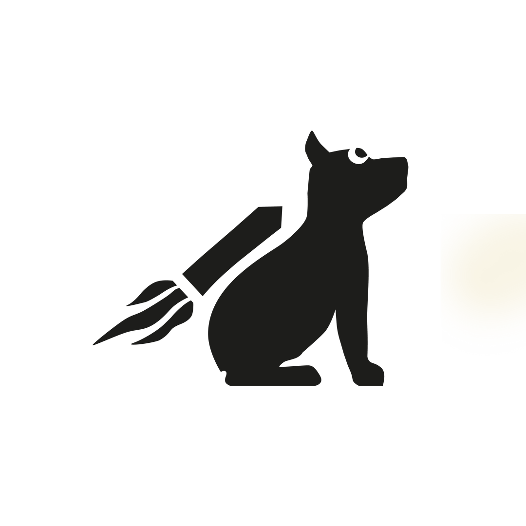 Skotti