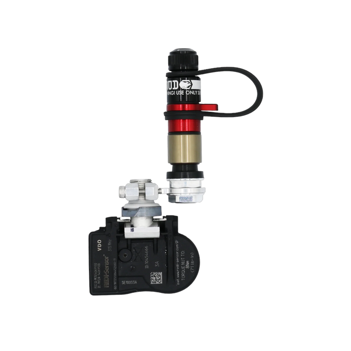 APEX DESIGNS RPV XL SET OF 6