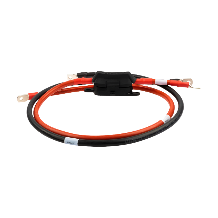 300a RS3 Inverter Cable Kit
