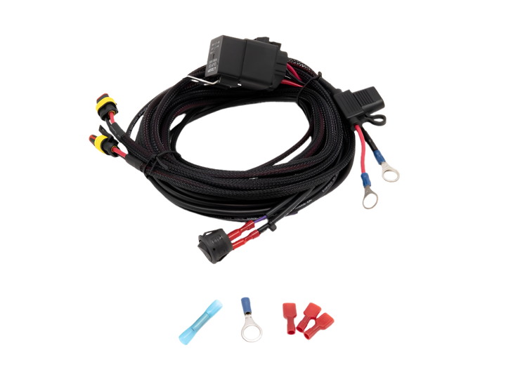 Two-Lamp Wiring Kit (Low Power, 12v)