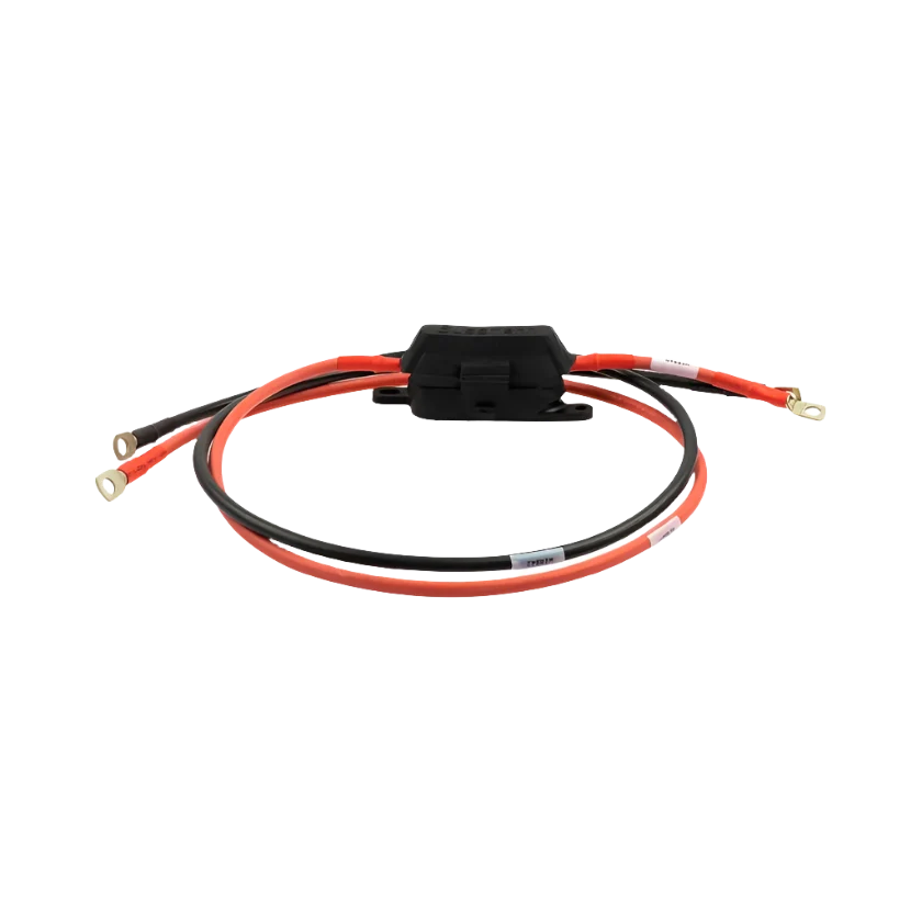 100a RS3 Inverter Cable Kit