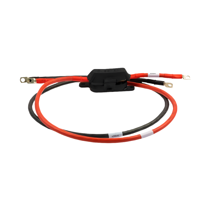 200a RS3 Inverter Cable Kit