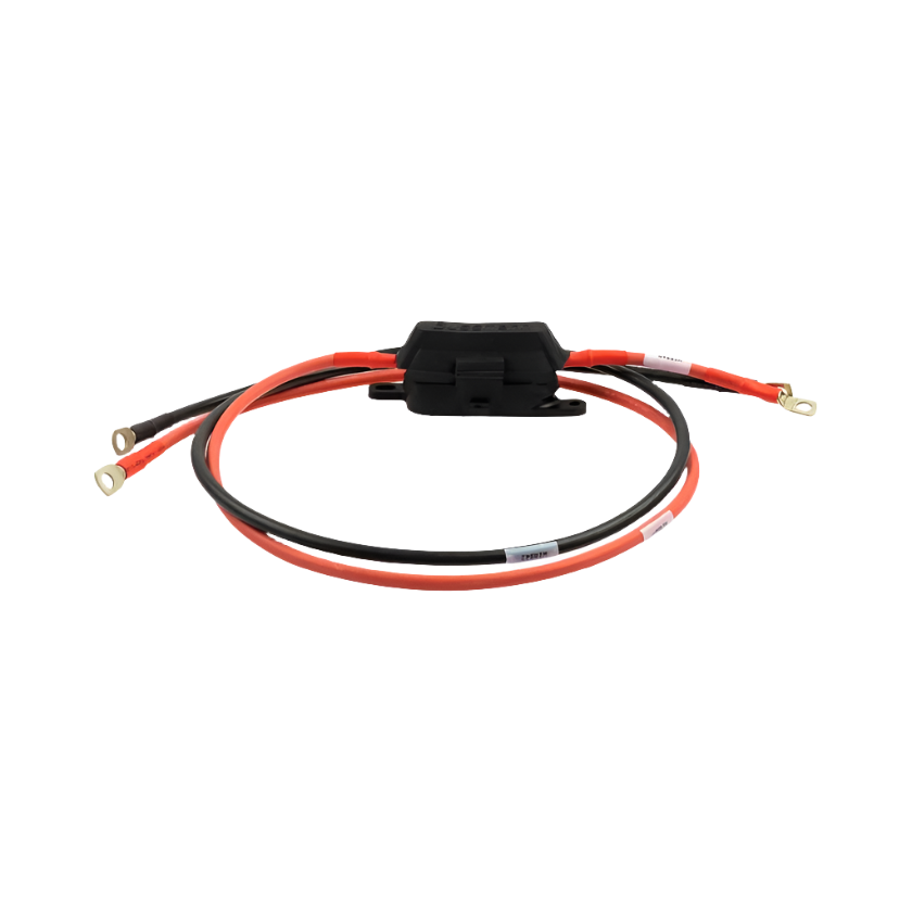 100a RS3 Inverter Cable Kit