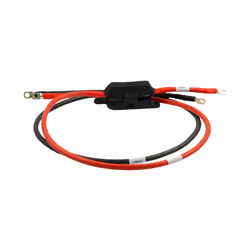200a RS3 Inverter Cable Kit