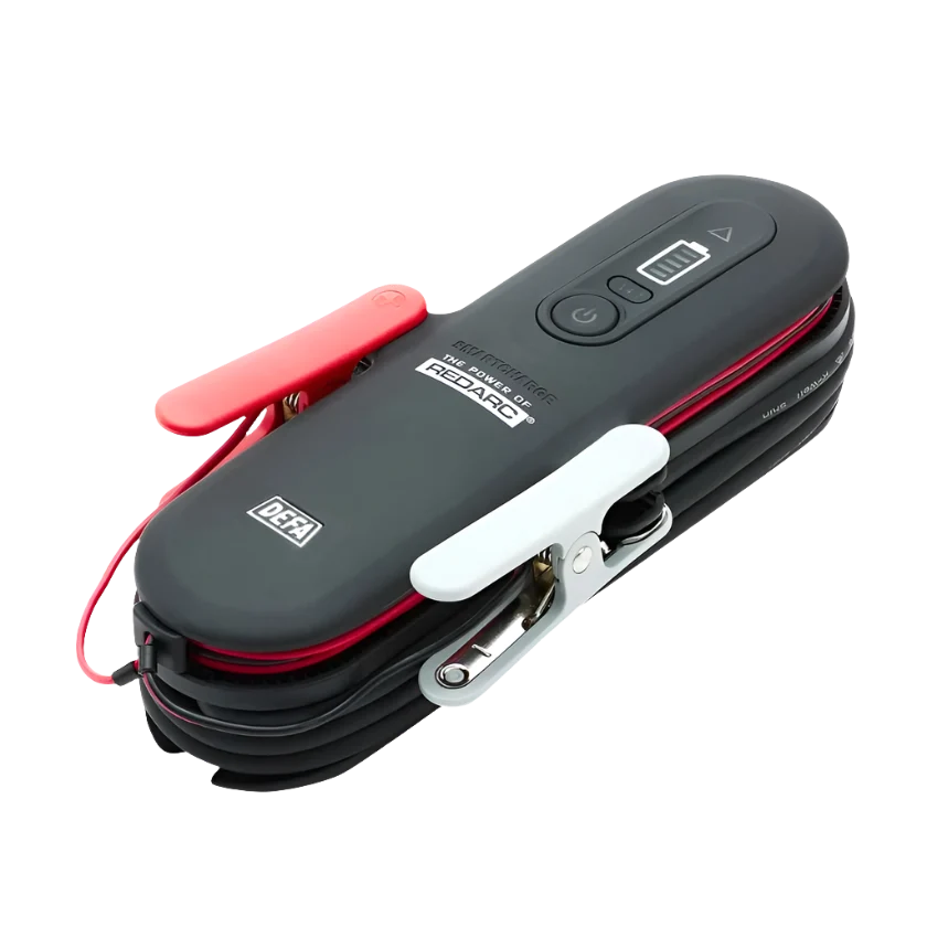 6a SmartCharge AC Battery Charger